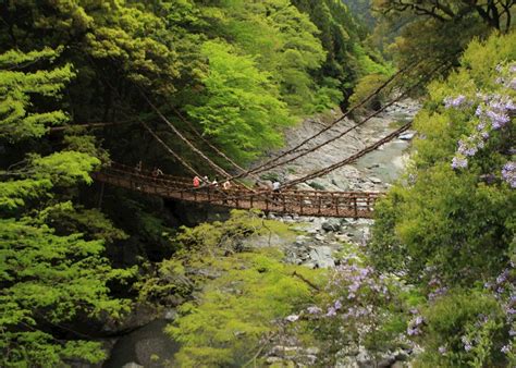 https://cdn.audleytravel.com/-/-/79/1336372-iya-valley-vine-bridges-tokushima.jpg