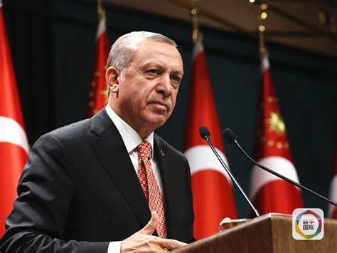 土耳其总统解除央行行长职务_埃尔多安