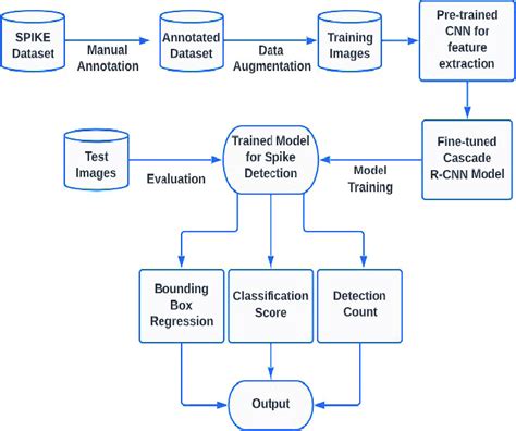 Image result for Flow Graph Work