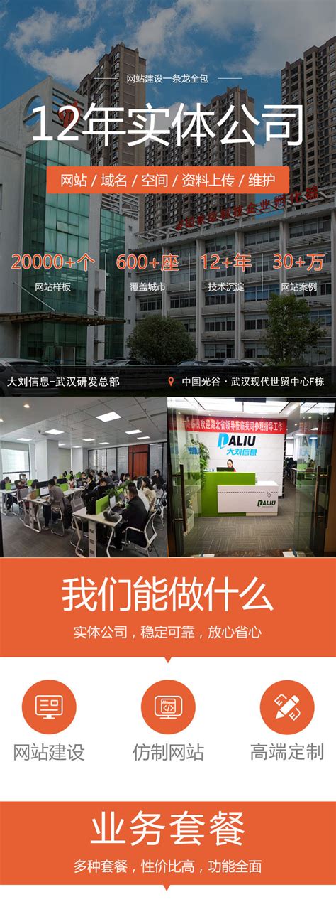 网站策划与制作-软件程序外包工作室-软件定制开发-武汉市大刘信息技术有限公司