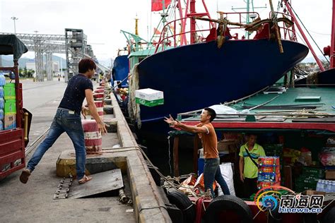 三亚码头，探访渔民的船上生活（图）
