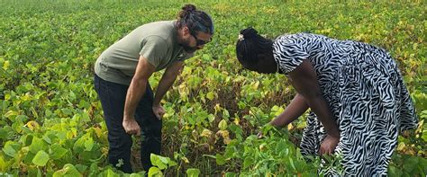 Methods of Data Collection Field Work 的图像结果