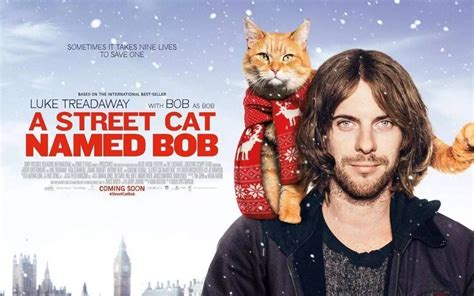 《流浪猫鲍勃》全集-高清电影完整版-在线观看-搜狗影视