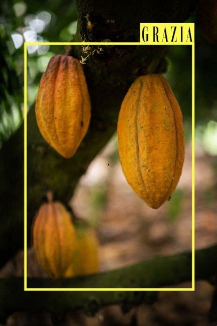 Lifestyle: Discover Events and Places, Things to do | Grazia India