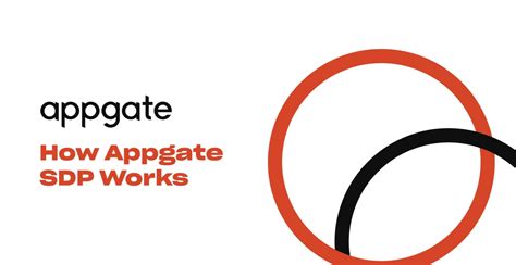 API Connection to AppGate 的图像结果