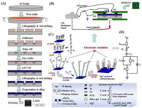 Influences of Probe’s Morphology for Metal Ion Detection Based on Light ...