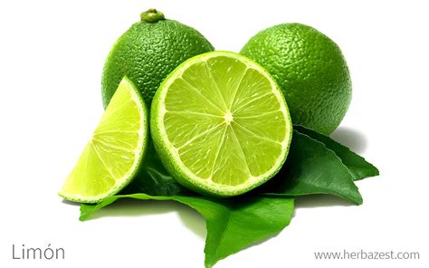 Limón