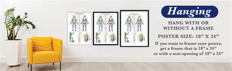 Palace Learning Dermatomes And Nervous System Anatomical Chart ...