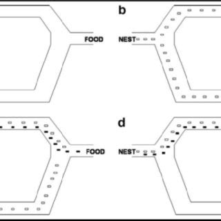 Image result for Stretched String Experiment Bridge