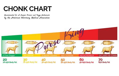 Dog weight chart – Artofit