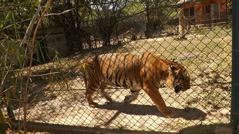 PARQUE ZOOLOGICO Y BOTANICO BARARIDA (2025) All You Need to Know BEFORE ...