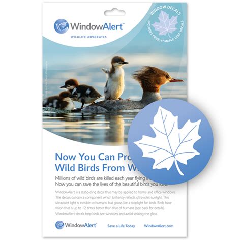WindowAlert Bird Window Decal - Prevent Bird Window Strikes (5 decals ...