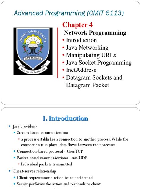 Image result for Computer Network Programming