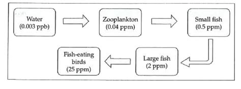 Given below is a flow chart showing the accumulation of DDT in ...
