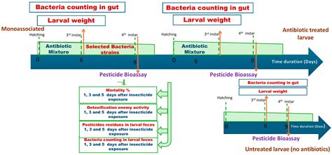 Isolation and Characterization of Chlorpyrifos-Degrading Gut Bacteria ...