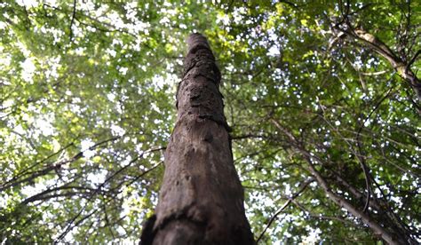 BERRYLANDS NATURE RESERVE (2026) All You Need to Know BEFORE You Go ...