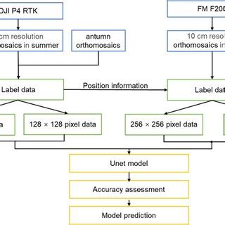 Analysis Workflow 的图像结果