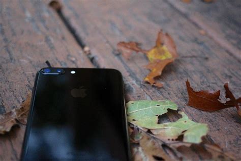 Image result for IPhone 8 Camera Features