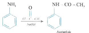 Reaction of aniline with acety1 chloride in the presence of `NaOH` gives
