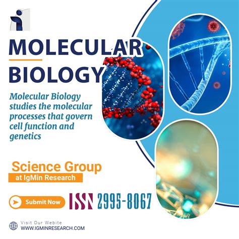 Molecular Medicine | Science | IgMin Research - STEM | A ...