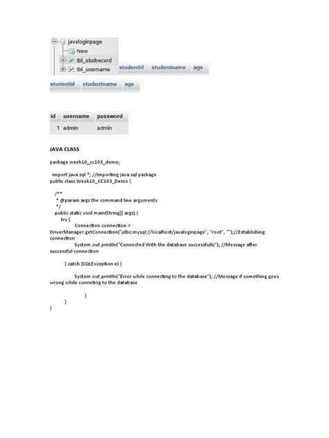 Netbeans Java CRUD Application 的图像结果