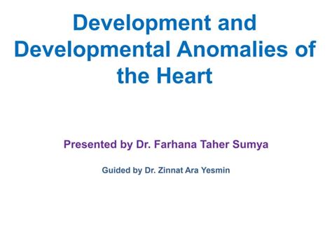 Image result for Heart Development Disorders