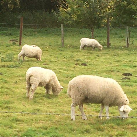 NAR VALLEY COTTAGES (Pentney) - Cottage Reviews & Photos - Tripadvisor