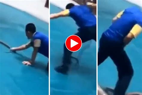 Sanp Ka Video: सांप की पूंछ पकड़कर मस्ती कर रहा था शख्स, मगर एक गलती ने ...