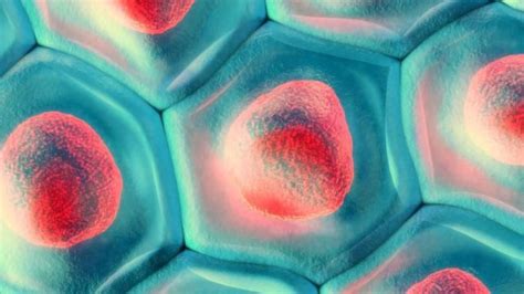 Single Cell Analysis Free Software 的图像结果