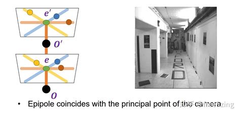 Rectangular Hyperpola 的图像结果