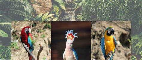 Interactive Webpage CSS-Tricks 的图像结果