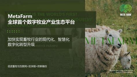 MetaFarm数字牧场，加快实现畜牧行业现代化、智慧化、数字化转型升级_平台_智牧_生态