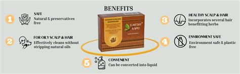 Buy Earthy Sapo Shikakai & Multani Shampoo Bar for Oily Hair (100g ...