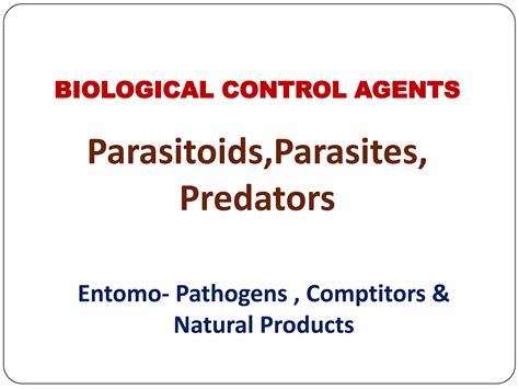 Image result for Biological Control of Insects