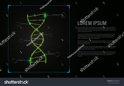 DNA Vector 的图像结果