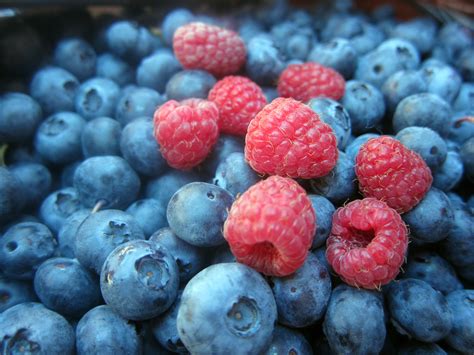 Blue Raspberries Fruit at Lori Allan blog
