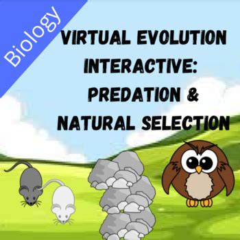 Evolution Computer Simulation 的图像结果