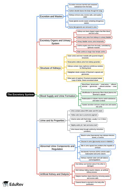 Mindmap: The Excretory System [Elimination of Body Wastes] - Biology ...