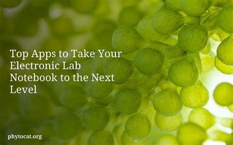 Electronic Lab Notebook 的图像结果