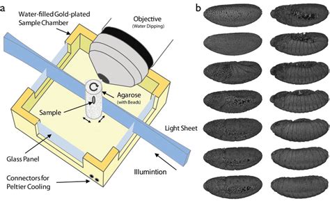 Image result for SPIM Features