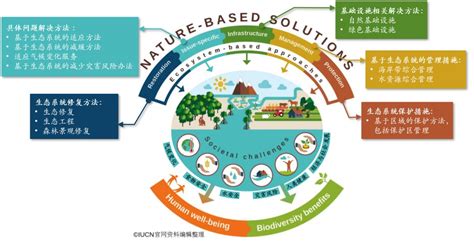 你所知道的“基于自然的解决方案”(Nature-based Solution, NbS)--亚洲环保创新论坛(AEIF)