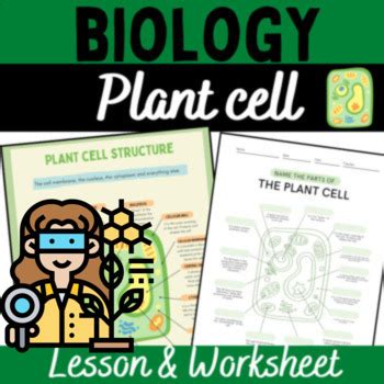Image result for Plant Cell Lesson