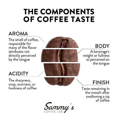Image result for Coffee Taste Test