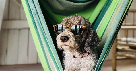 Image result for JavaScript Remove Properties From Rest Props