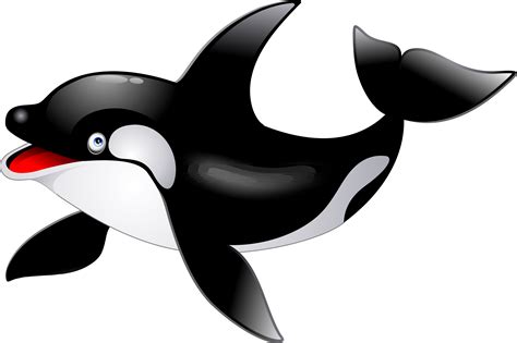 orca whale clipart #3985790 | Clipart Library