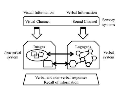 Image result for Dual Coding Research Ed