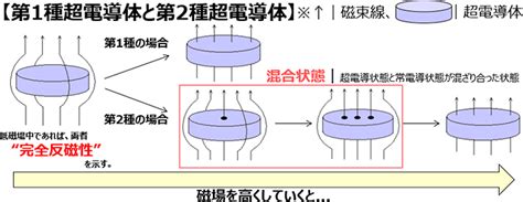 Introduction to Python Coding に対する画像結果