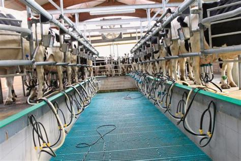 Melkroboter: Vor- und Nachteile für die Eutergesundheit | agrarheute.com