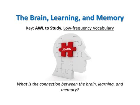 Image result for Clinically Tested Memory and Learning