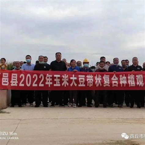 夏邑县召开2022年玉米大豆带状复合种植现场观摩会_示范_西村_技术